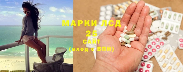 индика Гусиноозёрск