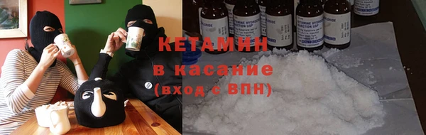 индика Гусиноозёрск
