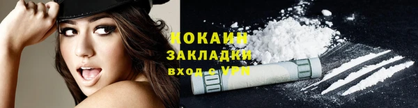 индика Гусиноозёрск