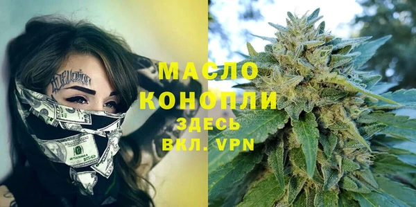 индика Гусиноозёрск