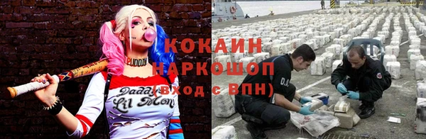 индика Гусиноозёрск