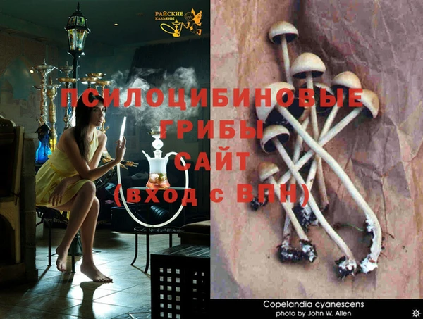 не бодяженный Гусев