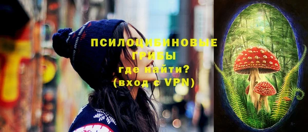 соль курить ск Гусь-Хрустальный
