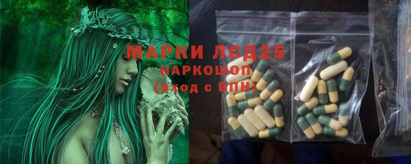 индика Гусиноозёрск