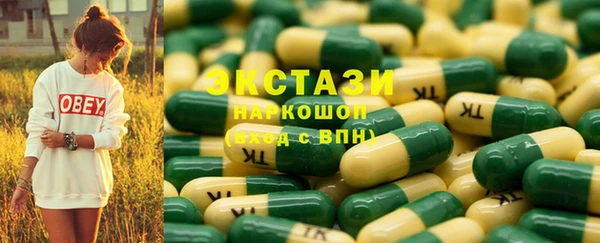 индика Гусиноозёрск
