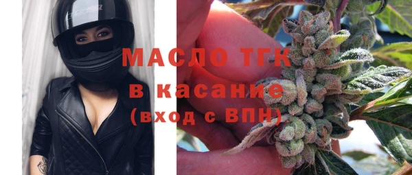 индика Гусиноозёрск