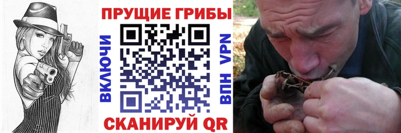 Псилоцибиновые грибы Psilocybine cubensis  Купить где  Злынка 
